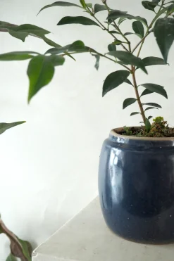Glaserede Krukker|Mellem^PLANT Berit, blå, ø12 cm