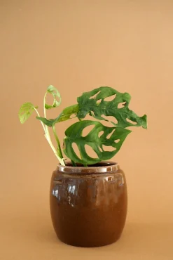 Glaserede Krukker|Lille^PLANT Berit, brun ø 12 cm
