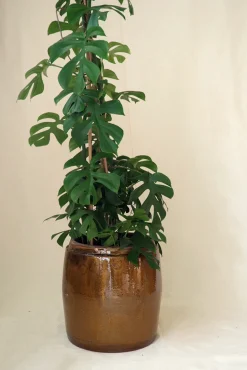 Glaserede Krukker|Stor^PLANT Berit krukken, ø 33, brun