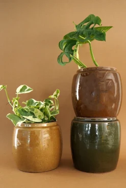 Glaserede Krukker|Lille^PLANT Berit, mustard ø12 cm