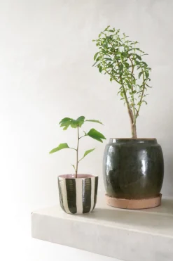 Glaserede Krukker|Lille^PLANT Berit, olivengrøn ø12 cm