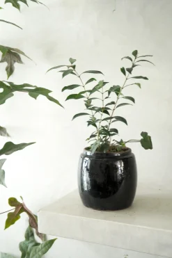 Glaserede Krukker|Mellem^PLANT Berit, sort, ø12 cm