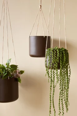 Hængekrukker Og Ophæng^PLANT Bloom hængekrukke, brun ø25 cm