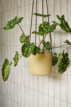 Hængekrukker Og Ophæng^PLANT Bloom hængekrukke, sand ø21 cm
