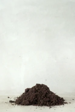 Jord Og Omplantning|Bonsai^PLANT Bonsai jord
