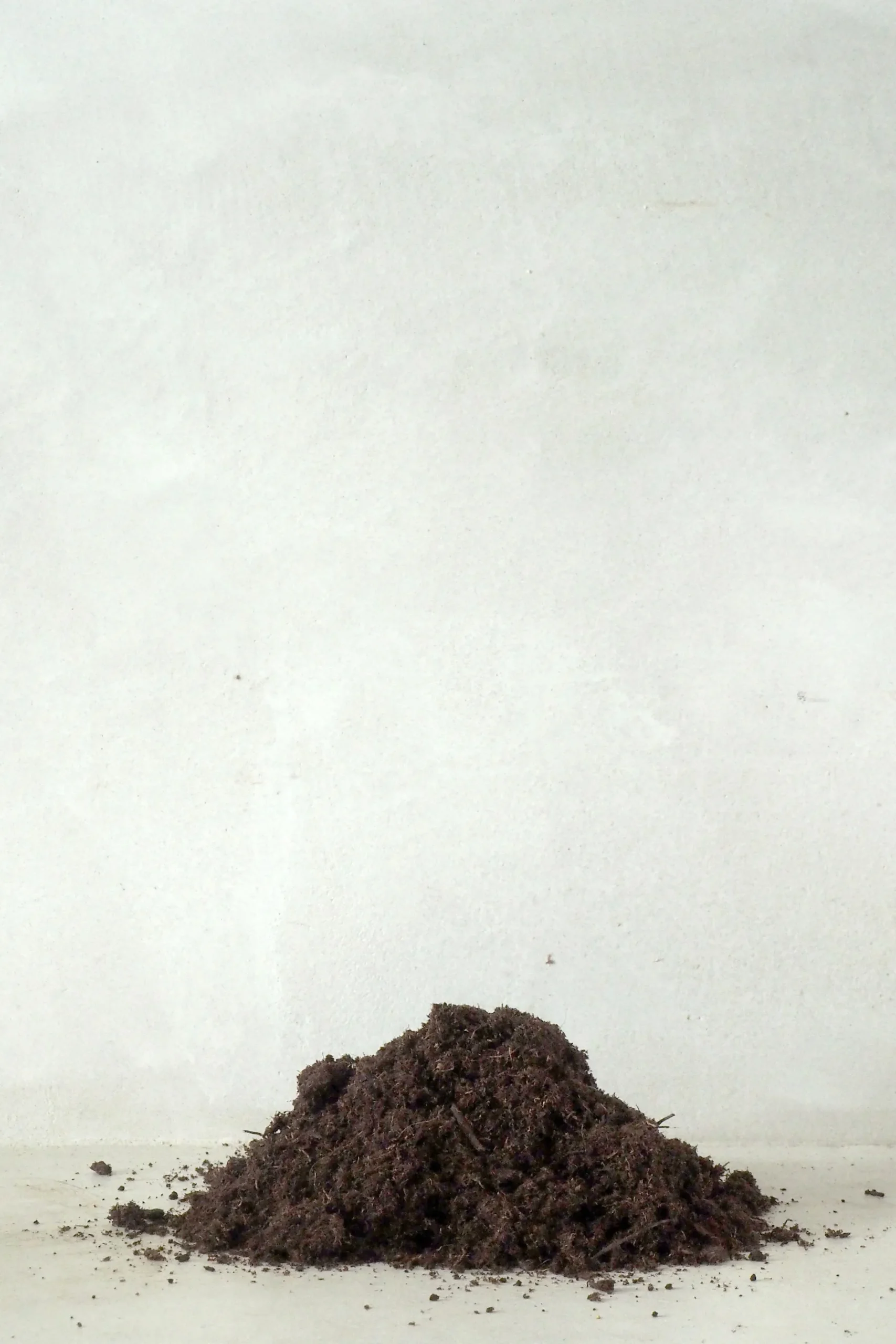 Jord Og Omplantning|Bonsai^PLANT Bonsai jord