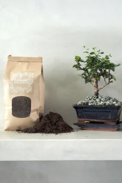 Jord Og Omplantning|Bonsai^PLANT Bonsai jord