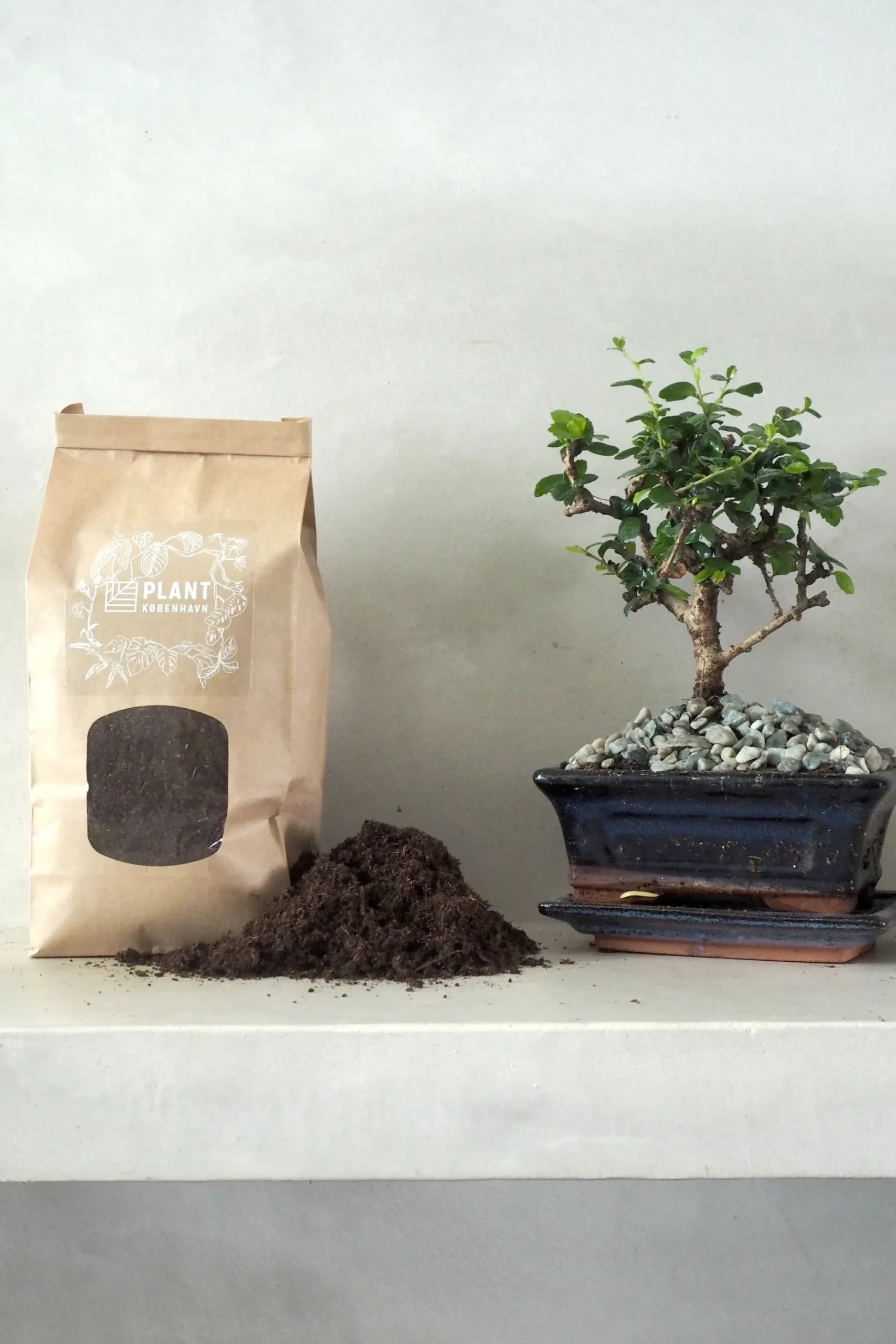 Jord Og Omplantning|Bonsai^PLANT Bonsai jord