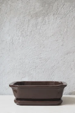 Mellem|Lille^PLANT Bonsai krukke