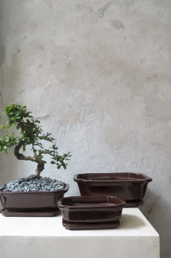 Mellem|Lille^PLANT Bonsai krukke