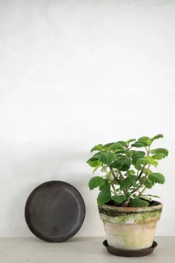 Underskåle^PLANT Brun underskål