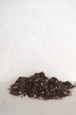 Plantepleje-Kits|Plantepleje-Kits^PLANT Bundle : Essential epleje