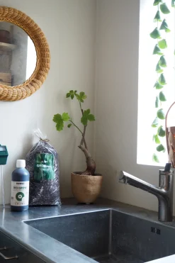 Plantepleje-Kits|Plantepleje-Kits^PLANT Bundle : Pro epleje