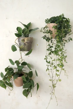 Hængekrukker Og Ophæng^PLANT Clippy vægophæng