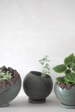 Mellem|Lille^PLANT Dirty Roots - Tau Ceti
