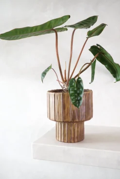 Glaserede Krukker|Mellem^PLANT Elitta krukke