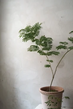 Terrakotta-Krukker|Stor^PLANT Emilia krukke, raw rosa