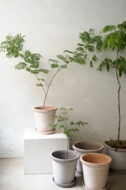 Terrakotta-Krukker|Stor^PLANT Emilia krukke, raw rosa