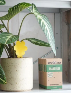 Plantepleje Og Skadedyr^PLANT Fluefanger