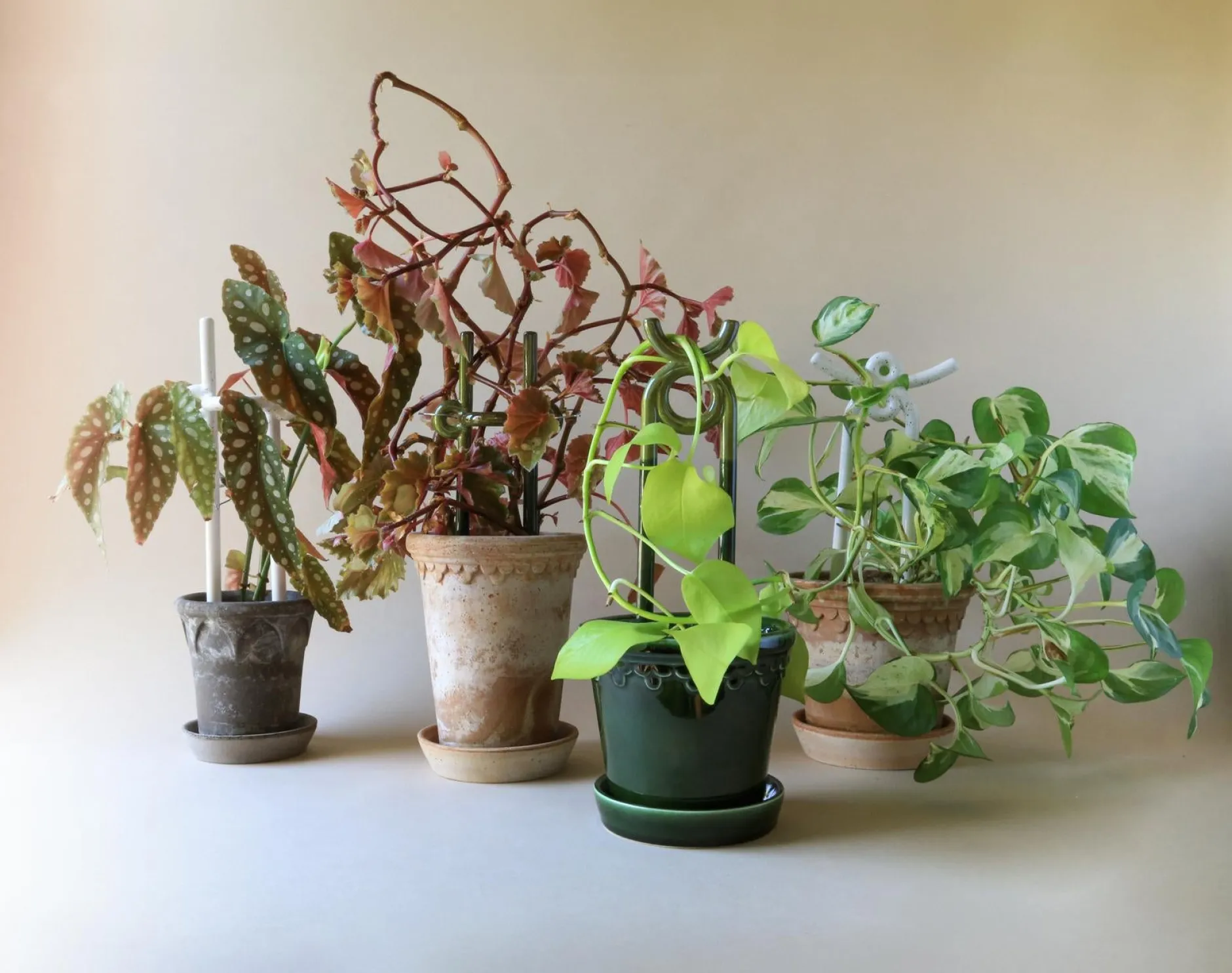 Plantestøtter^PLANT FOLK oni estøtte, grøn