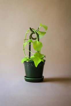 Plantestøtter^PLANT FOLK oni estøtte, grøn