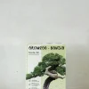 Frø, Spiring Og Altanliv|Bonsai^PLANT Frø - Bonsai, DIY kit