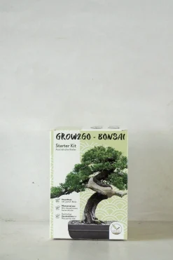 Frø, Spiring Og Altanliv|Bonsai^PLANT Frø - Bonsai, DIY kit