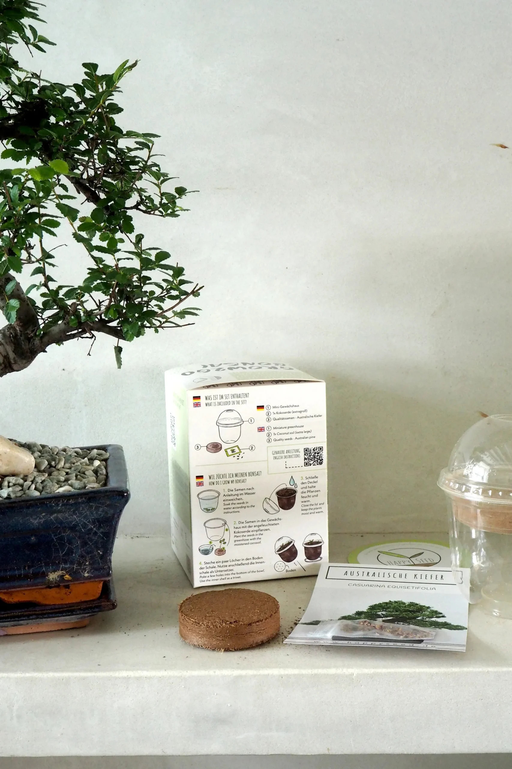 Frø, Spiring Og Altanliv|Bonsai^PLANT Frø - Bonsai, DIY kit