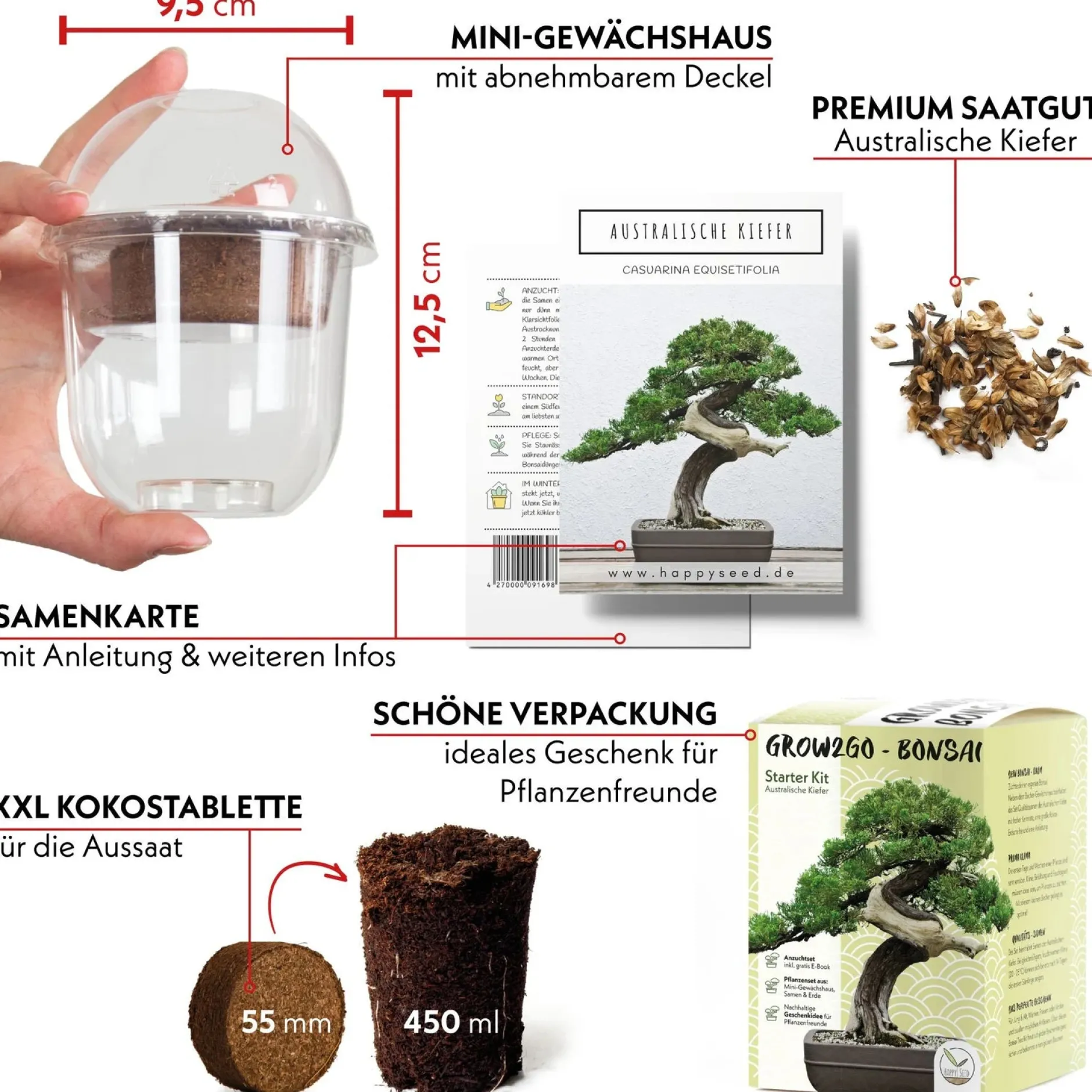 Frø, Spiring Og Altanliv|Bonsai^PLANT Frø - Bonsai, DIY kit