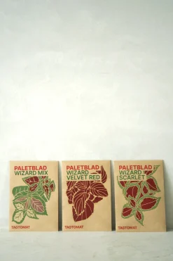 Frø, Spiring Og Altanliv^PLANT Frø - Paletblad, Wizard Scarlet