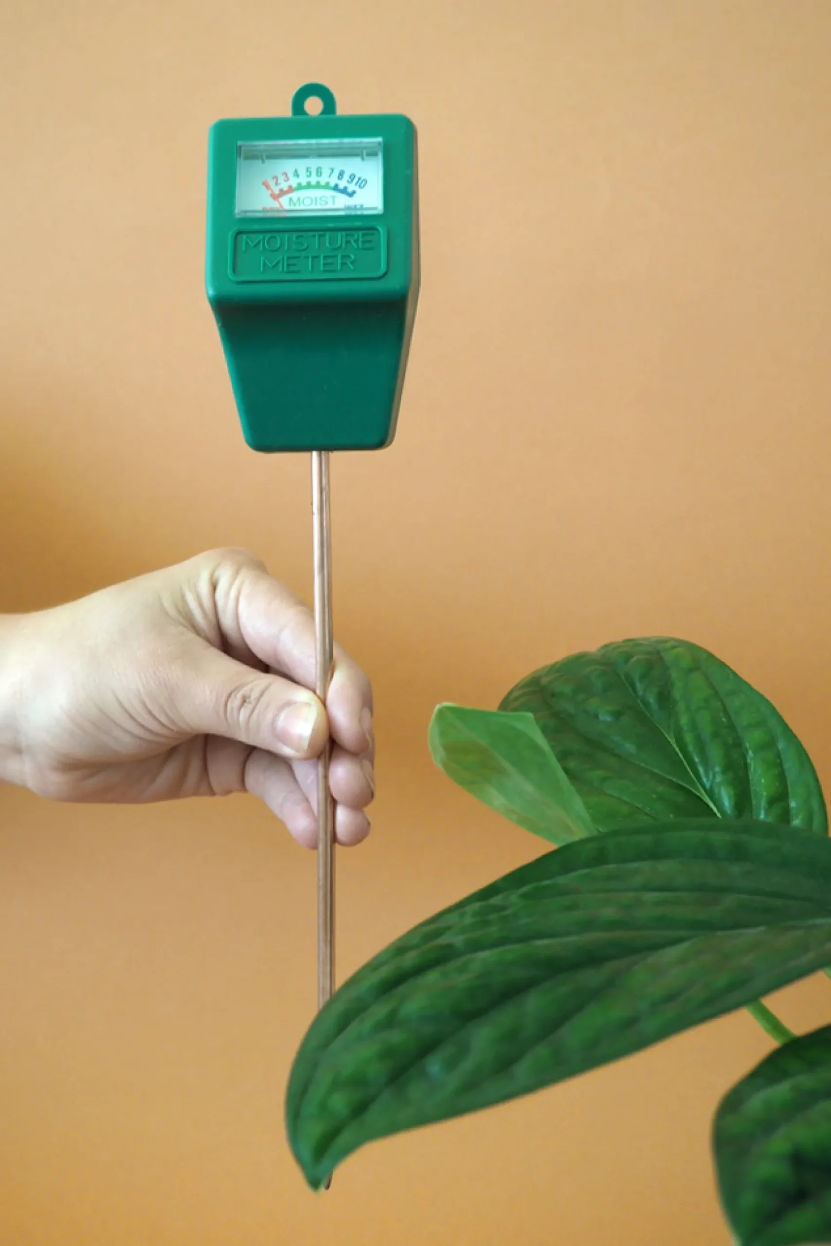 Fugtmålere^PLANT Fugtmåler