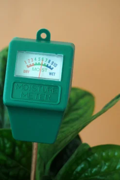 Fugtmålere^PLANT Fugtmåler