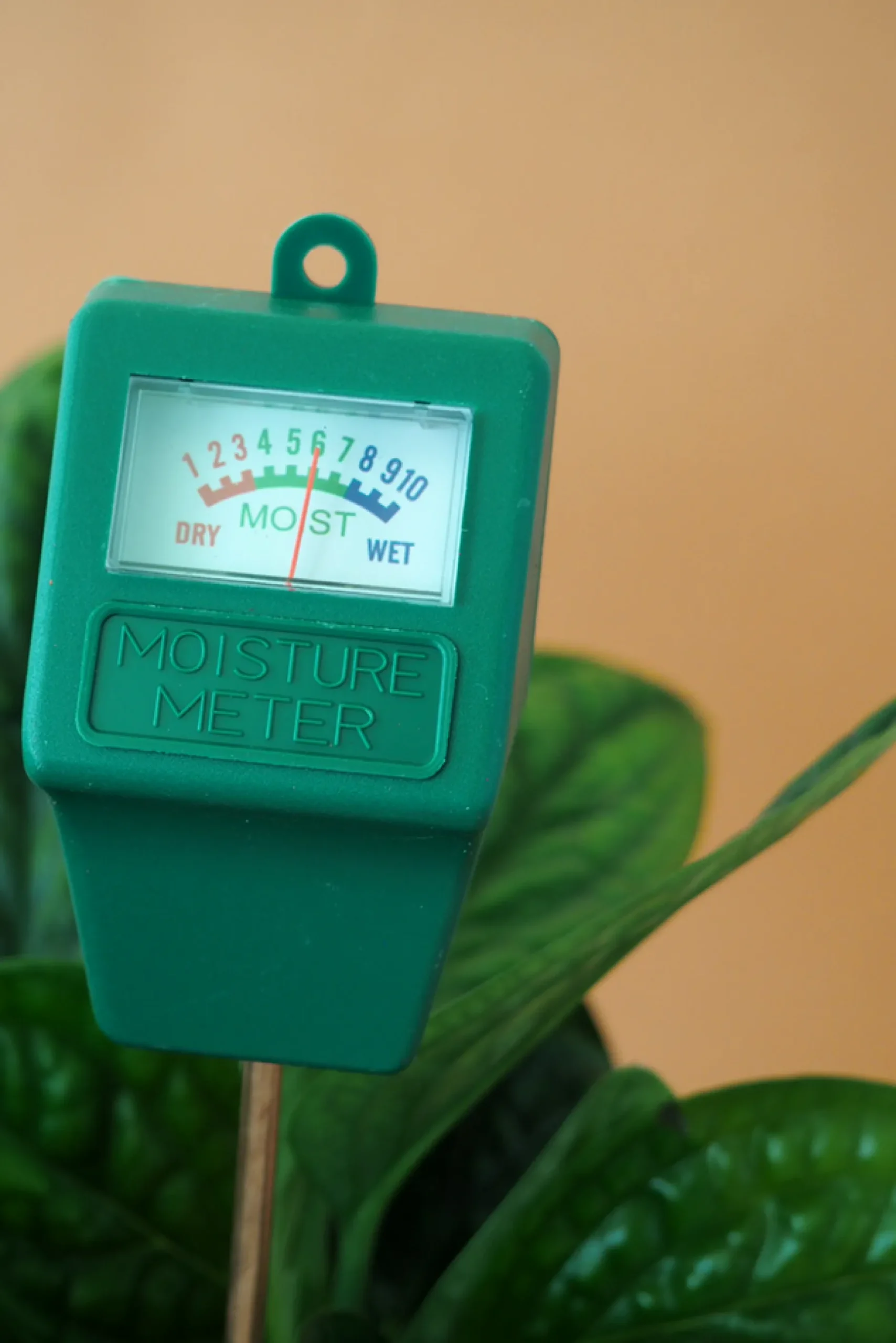 Fugtmålere^PLANT Fugtmåler