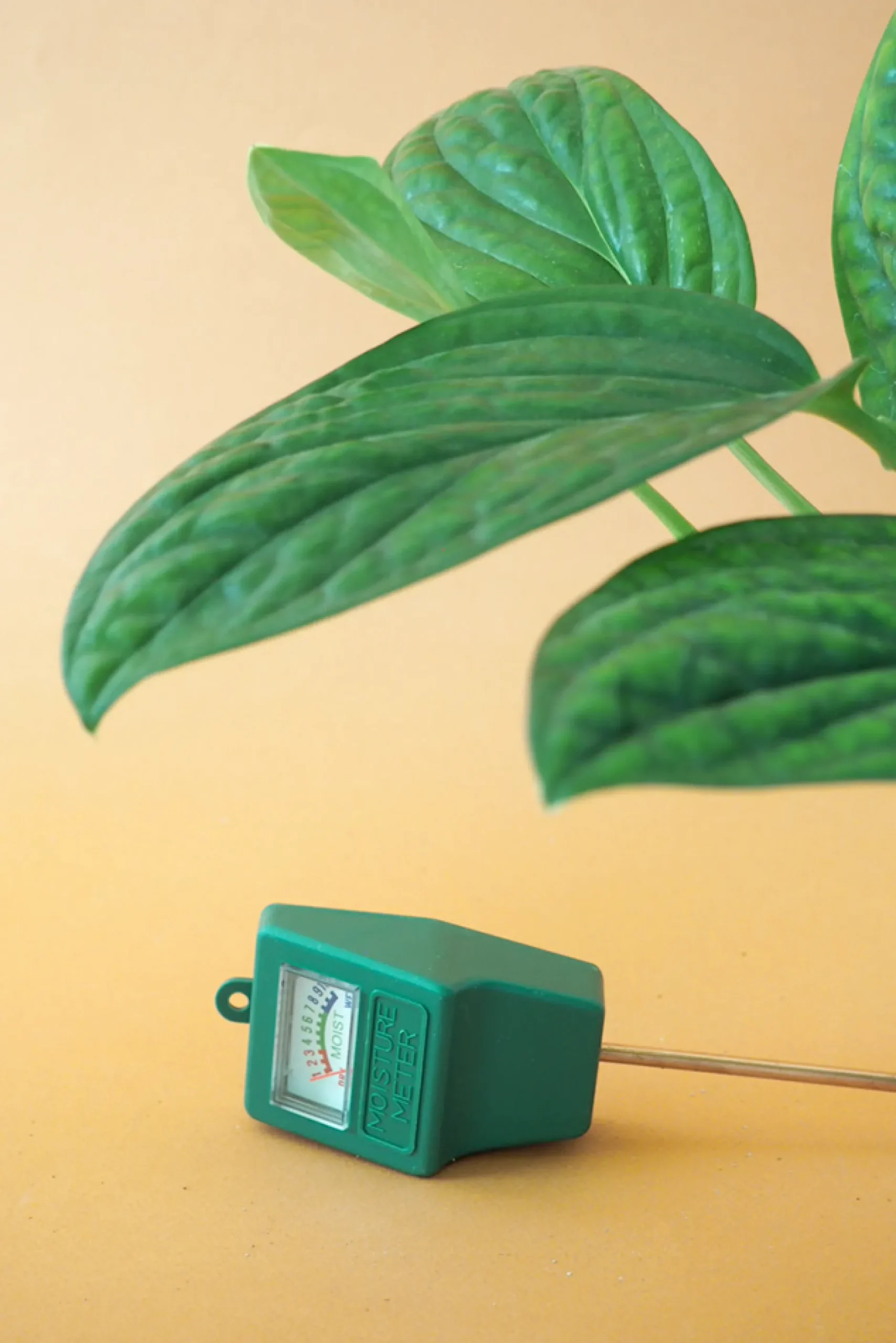 Fugtmålere^PLANT Fugtmåler