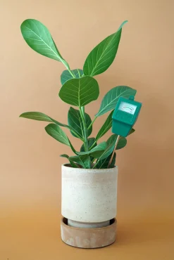 Fugtmålere^PLANT Fugtmåler