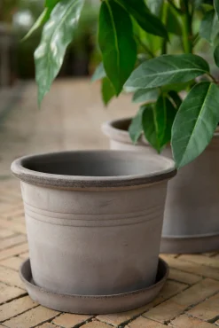 Terrakotta-Krukker|Stor^PLANT Galestro gulvkrukke, raw grey
