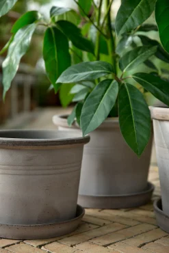 Terrakotta-Krukker|Stor^PLANT Galestro gulvkrukke, raw grey