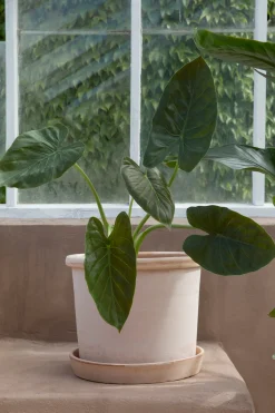 Terrakotta-Krukker|Stor^PLANT Galestro gulvkrukke, raw rosa