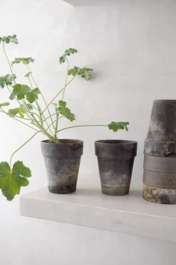 Frø, Spiring Og Altanliv|Terrakotta-Krukker^PLANT Gartnerkrukke, naturlig patina
