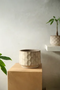 Frø, Spiring Og Altanliv|Glaserede Krukker^PLANT Gro krukke