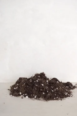 Jord Og Omplantning^PLANT Grow Blend - special jordblanding