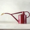 Vandkander^PLANT HAWS Vandkande, burgundy, 1 L (special edition)