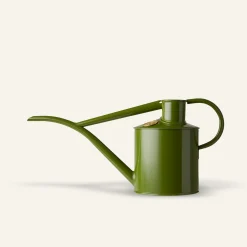 Vandkander^PLANT HAWS Vandkande, fern green, 1 L