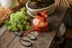 Vandkander^PLANT HAWS Vandkande, terracotta orange, 0,5 L