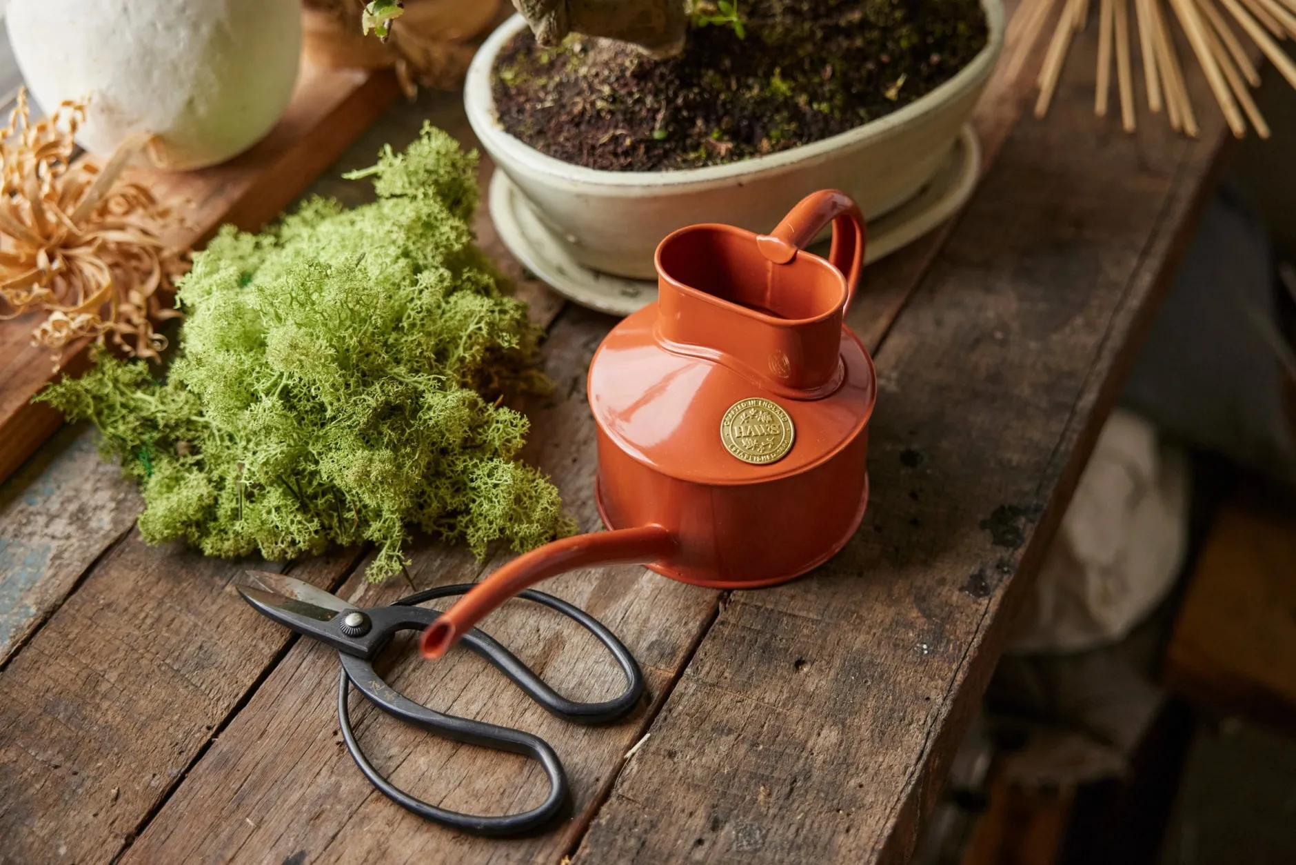Vandkander^PLANT HAWS Vandkande, terracotta orange, 0,5 L