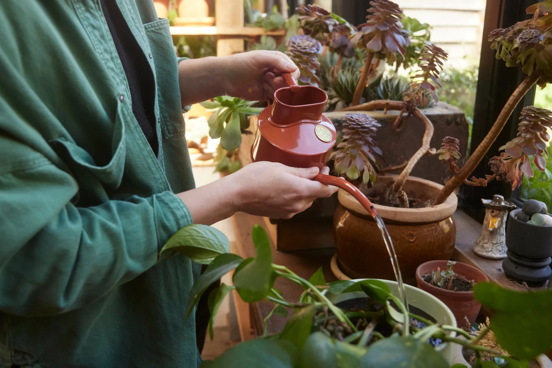 Vandkander^PLANT HAWS Vandkande, terracotta orange, 0,5 L