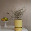 Glaserede Krukker|Terrakotta-Krukker^PLANT Hoff krukke, glaseret, Pale Yellow