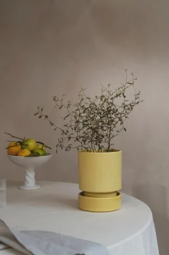 Glaserede Krukker|Terrakotta-Krukker^PLANT Hoff krukke, glaseret, Pale Yellow