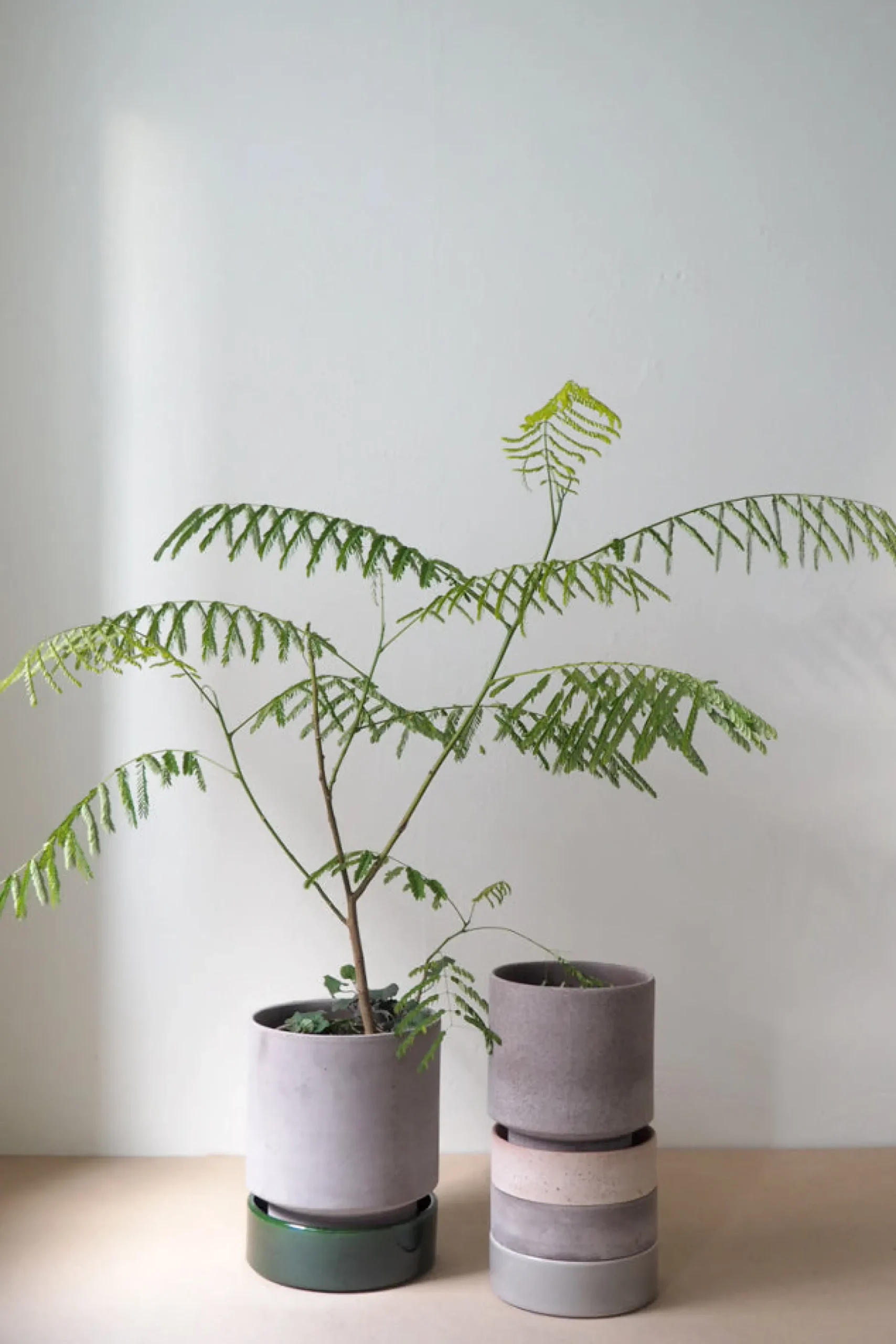 Terrakotta-Krukker|Stor^PLANT Hoff krukke, raw grey + grøn underskål, gulvkrukke