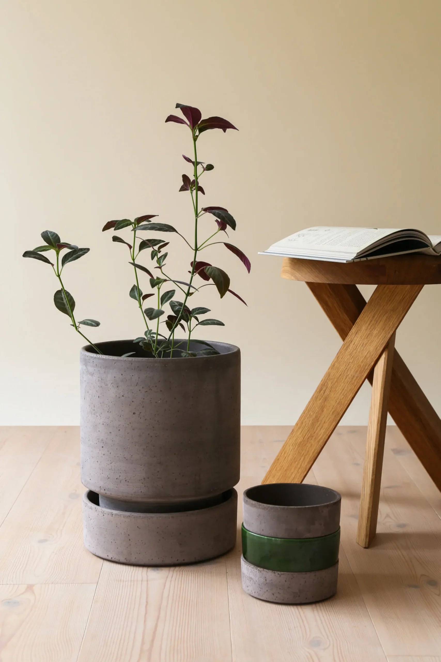 Terrakotta-Krukker|Stor^PLANT Hoff krukke, raw grey + grøn underskål, gulvkrukke